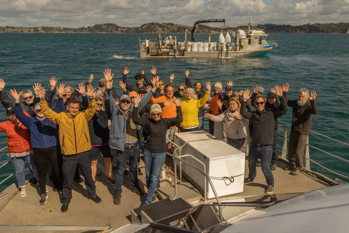 ReviveOurGulf's tweet photo. Today was something special.This morning we joined the Ngāti Manuhiri whānau and deployed the last barge load of kūtai in the biggest experimental mussel bed yet for Te Moananui-ā-Toi / The Hauraki Gulf (150 tonnes!).  #teauomorunga #shellfishrestoration #haurakigulf https://t.co/wph8Ak0irJ
