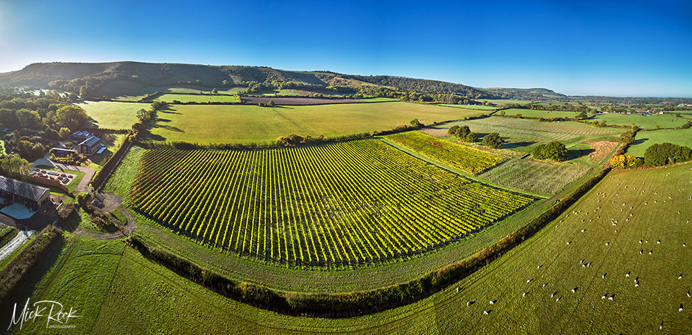 Image from a visit to <a href="/everflyht/">Everflyht</a> vineyard yesterday with the South Downs beyond. #Sussex