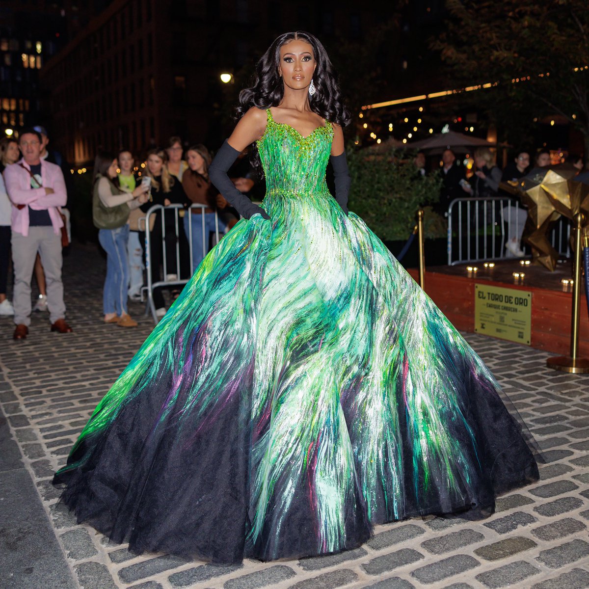 chanelayan's tweet photo. I love my Quinceanera dress 🤣🤣🤣 https://t.co/uKuA5oTBDC
