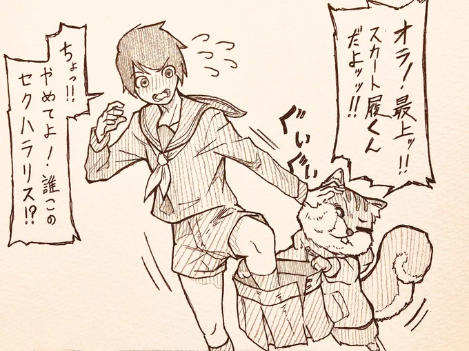 コレで良しっ!!! 