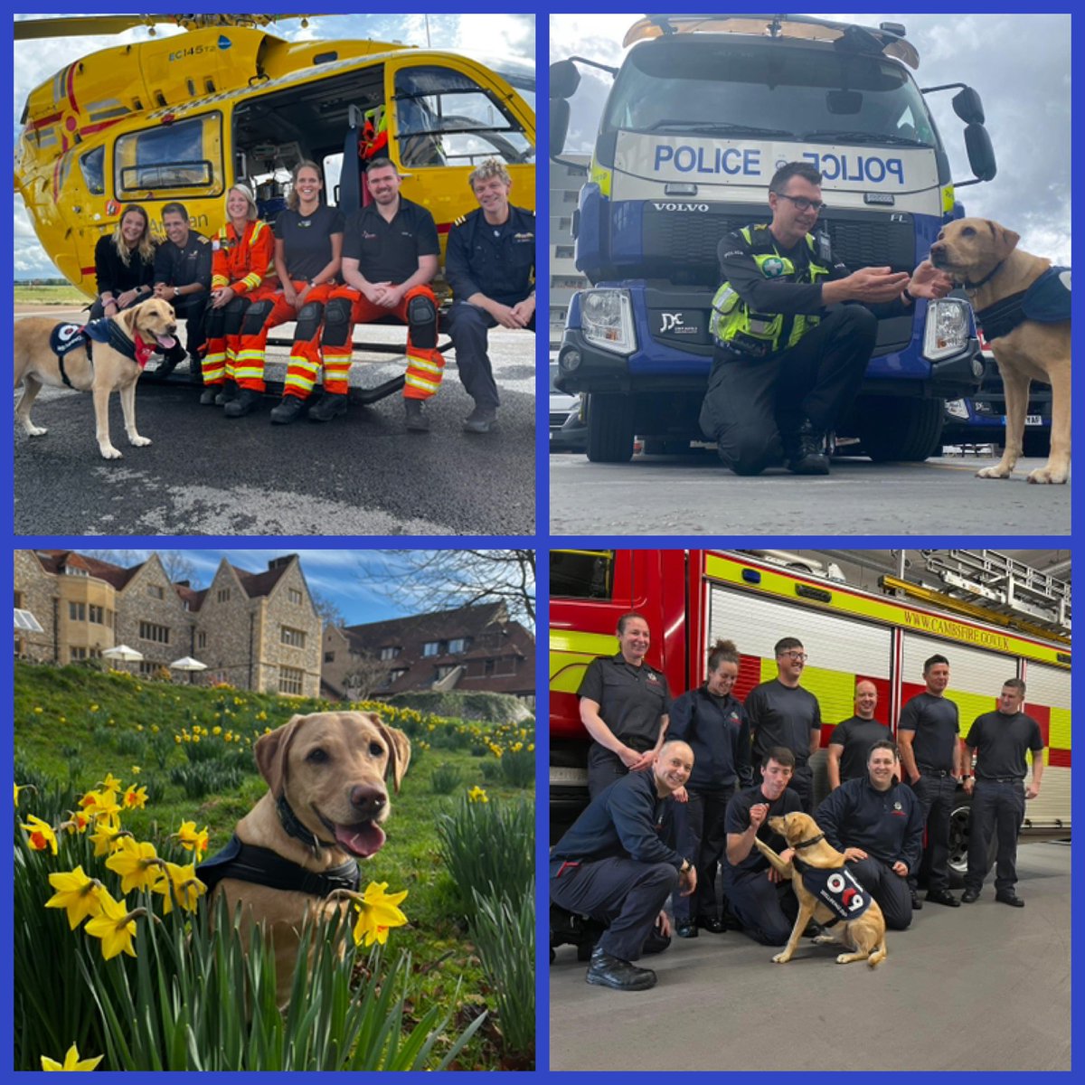 Today is #999Day where we celebrate all emergency services. We all work in traumatic situations and see things sometimes we can never forget, the most difficult thing to ask for his Help, never fear to put you hand up and ask for help, support or even a 🐾 is ready to help