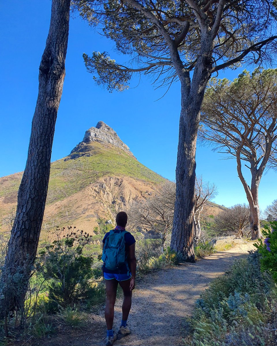TripAdvisorCT's tweet photo. The Pipetrack: I love this hike as it contours along the 12 Apostles, is practically flat, giving you an uninterrupted view of the coast line below. The route is popular &amp; an easy hike. Several routes lead up to Table Mountain, all clearly marked.

#capetown #tripadvisor #travel https://t.co/gCOqPoL4YE