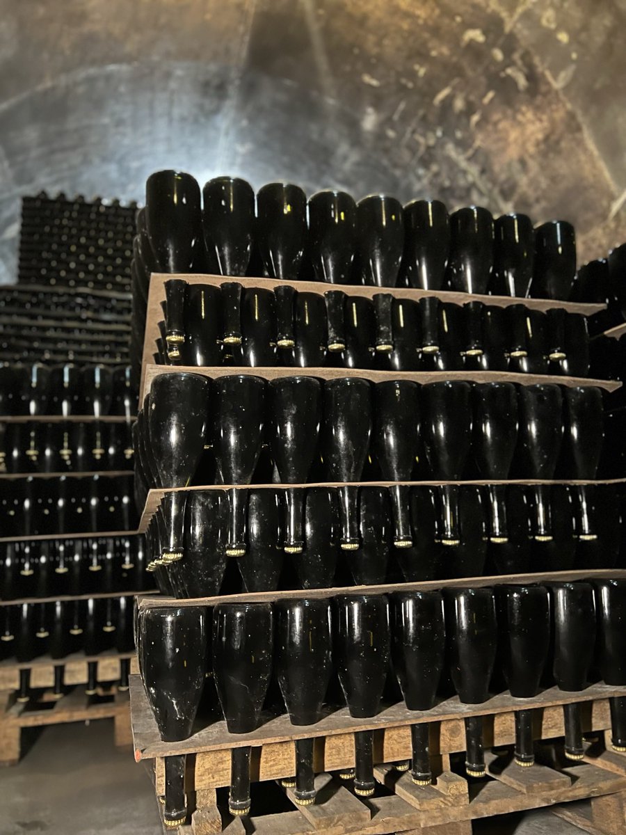Caves a punt per veure la llum després de més de 3 anys en repòs i fer màgia a les nostres taules! ✨🥂🍾✨