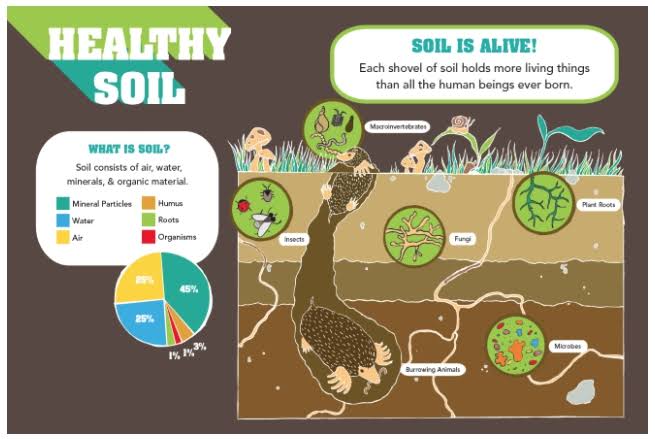 Ishanam2's tweet photo. Soil contains nutrients that are necessary for plant growth, animal life, and millions of microorganisms. The life cycle, however, comes to a halt if the soil becomes unhealthy, unstable, or polluted #SaveSoil @cpsavesoil @SadhguruJV @UNCCD https://t.co/NZp5yCXXnf
