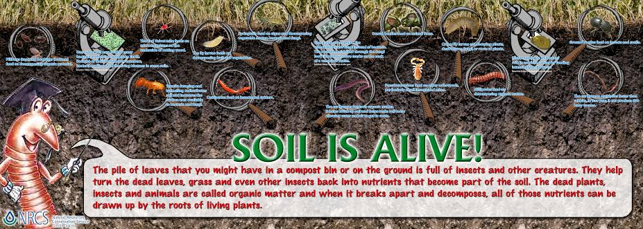 Ishanam2's tweet photo. Soil contains nutrients that are necessary for plant growth, animal life, and millions of microorganisms. The life cycle, however, comes to a halt if the soil becomes unhealthy, unstable, or polluted #SaveSoil @cpsavesoil @SadhguruJV @UNCCD https://t.co/NZp5yCXXnf