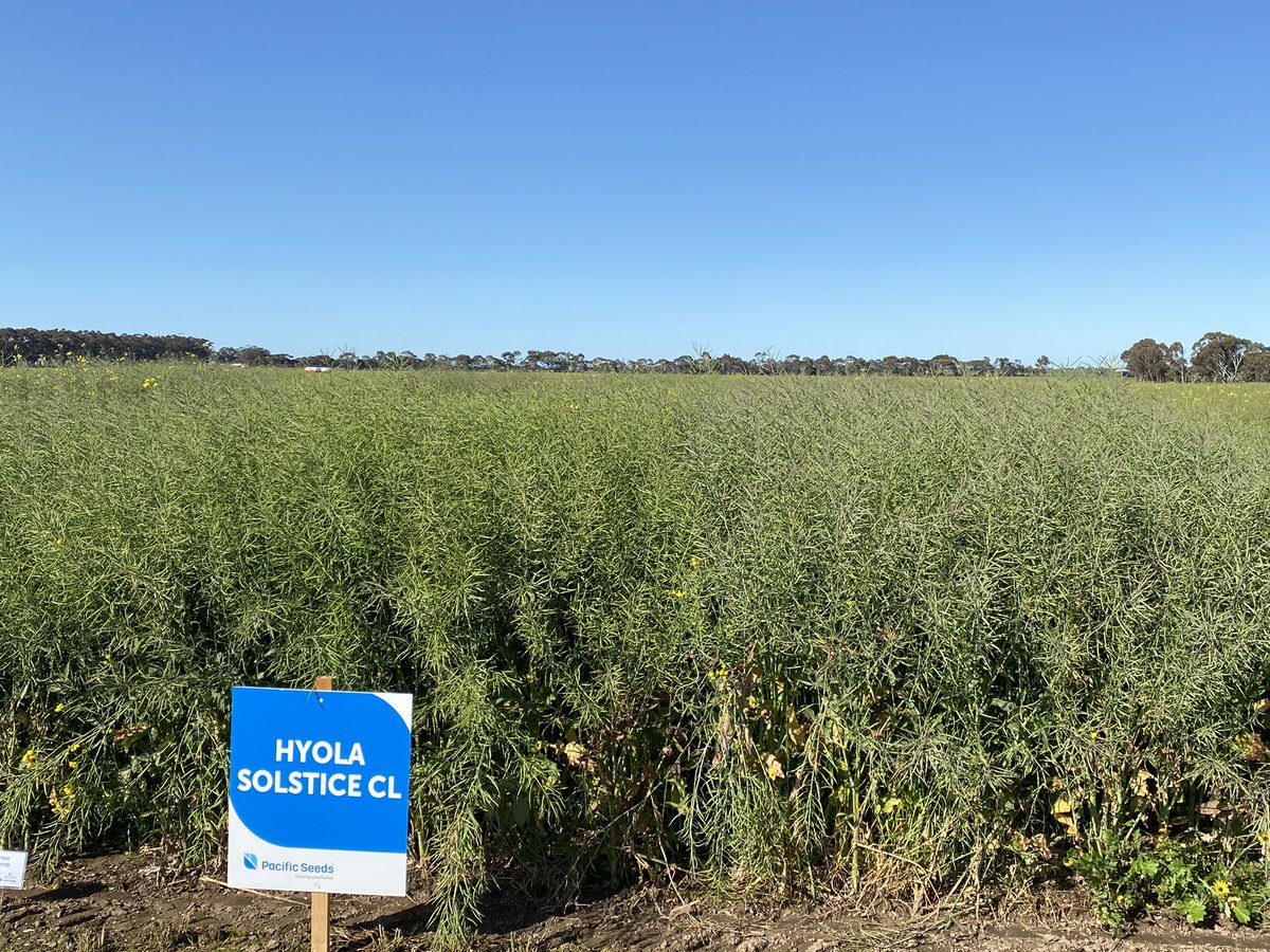 Justin Kudnig tweet media