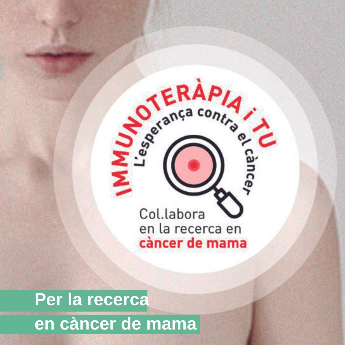 IMIM (@IMIM_research) on Twitter photo 2022-10-19 08:01:26 #DiaMundialContraElCàncerDeMama Col·labora amb la recerca en #immunoteràpia a l'@hospitaldelmar - @IMIM_research, un abordatge que pot canviar el tractament de pacients amb #càncerdemama La immunoteràpia i tu, l'esperança contra el #càncer! 👉bit.ly/3oVz8CW #DiaMundialContraElCàncerDeMama Col·labora amb la recerca en #immunoteràpia a l'@hospitaldelmar - @IMIM_research, un abordatge que pot canviar el tractament de pacients amb #càncerdemama La immunoteràpia i tu, l'esperança contra el #càncer! 👉bit.ly/3oVz8CW