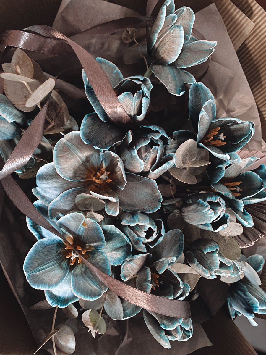 ALINADORE tweet media