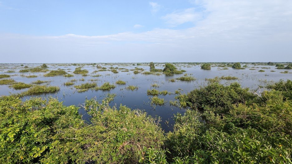 OxfamKH's tweet photo. #OxfamKH is very pleased to support members #youthKH of #KhmengPrey to have homestays with the community and visit #PrekToal #Ramsar site in order for them to observe first-hand experience of the #ClimateChange impacts on livelihoods of people living on #TonleSap. https://t.co/qDTRk1lfyS