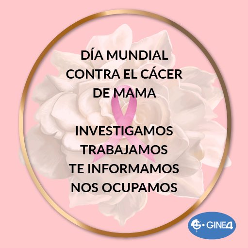 👩🏻‍⚕️💖 #gine4 #gine4you 
#diamundialcontraelcancerdemama 
#cancerdemama 
#equipogine4 

💖Investigamos
💖Trabajamos
💖Te informamos
💖Nos ocupamos...

gine4.es
91 546 40 55 y 91 447 55 06 o 674 796 030.