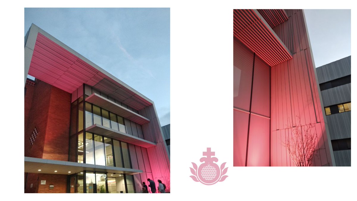 #rosaporSaray investigación y apoyo <a href="/SarayAsociacion/">Saray Asociación</a>