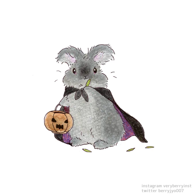 Halloweenえ?飼い主さんもおやつほしいの〜?毎日投稿994日目 #Halloween #ハロウィン 
