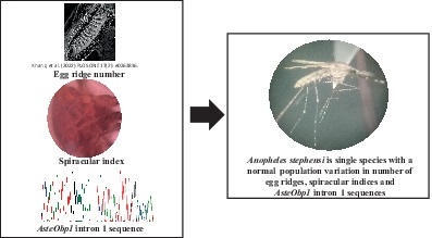 MedVet_Ent's tweet photo. #Morphological and #odorant-#binding #protein 1 #gene #intron 1 #sequence #variations in #Anopheles #stephensi from #Jaffna city in northern #SriLanka
https://t.co/kQzh2VzkMp
#bionomics #biotypes #haplotypes #malaria #vectors #variations #mosquitoes #mosquito #expansion https://t.co/GYTrLV8GrR