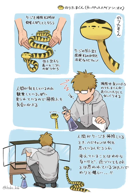 人間の観察 