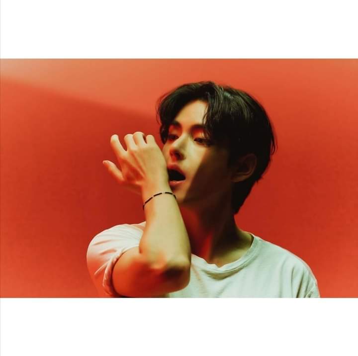 _tyeong's tweet image. 