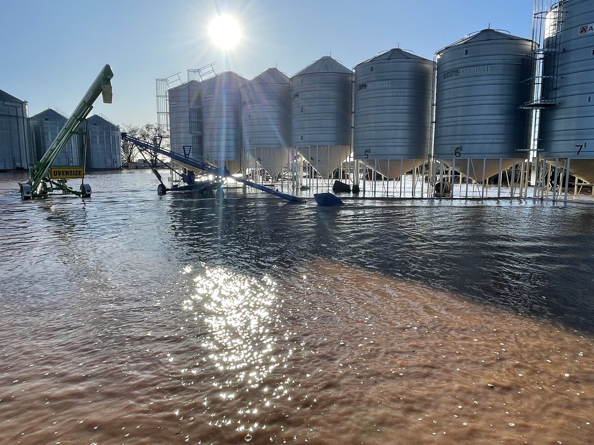 Don’t think we will be harvesting in a hurry in the Macquarie Valley !!