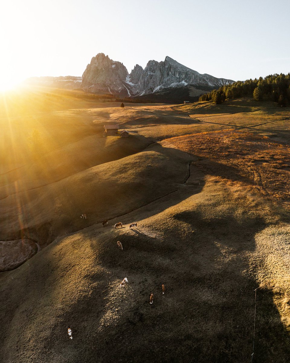 Buskevics's tweet image. GM from Sesser Alm ☕️☀️