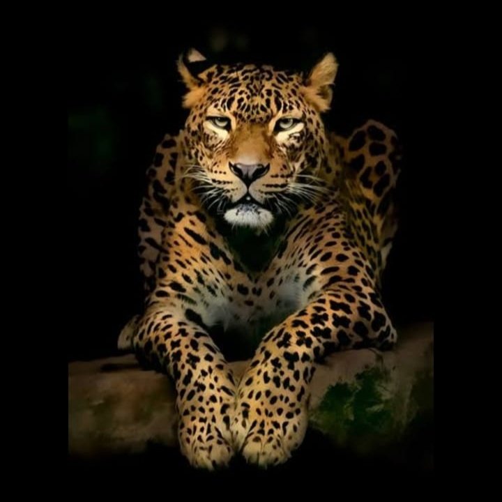 jmpratheesh11's tweet photo. #NewProfilePic https://t.co/hzUpvZK708