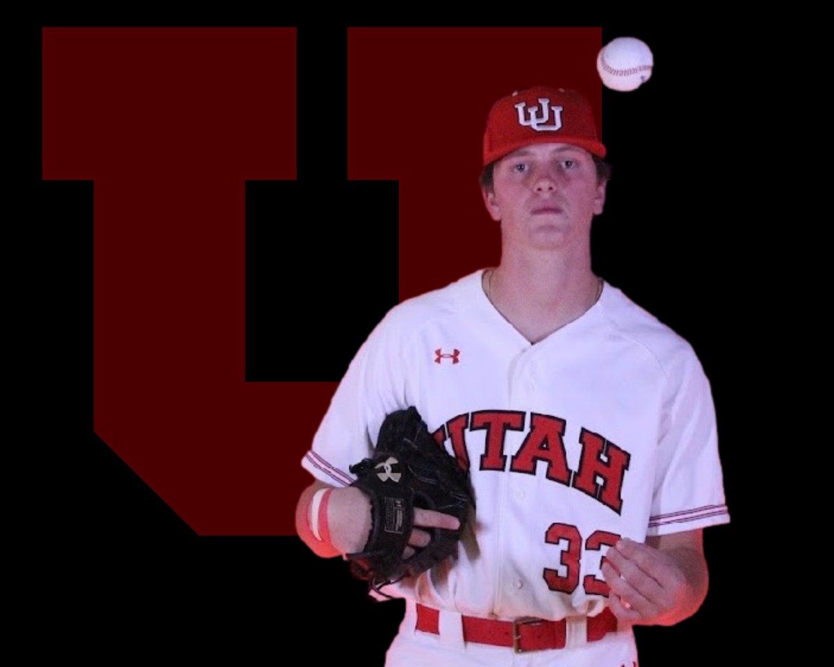 Kami Su Bird tweet media