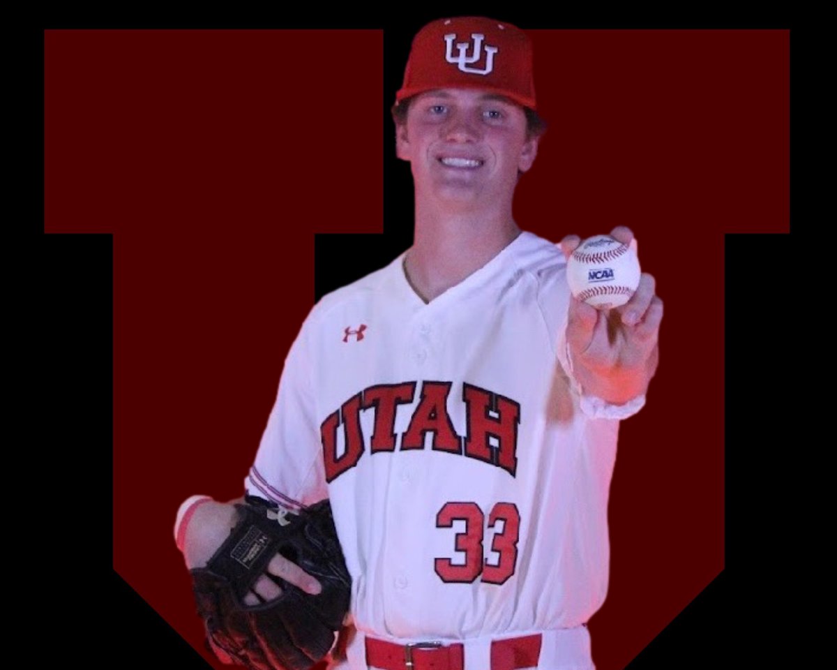 Kami Su Bird tweet media