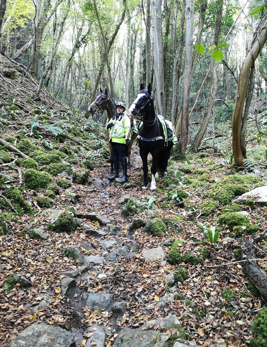 ASPoliceHorses's tweet photo. We search for missing people, as we can get to areas that vehicles can not, and riders can use their height advantage to see across large areas #999Day https://t.co/kn7N4fACal