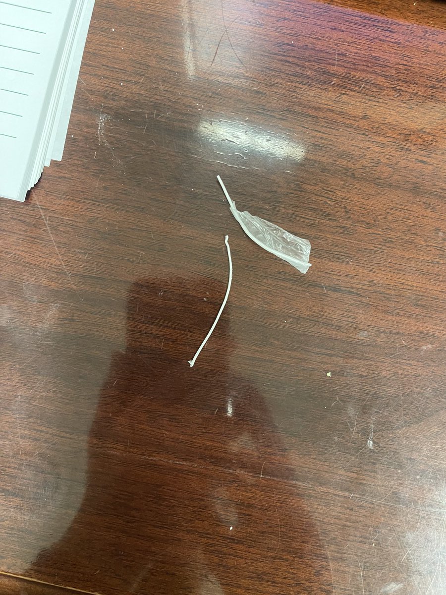 UC_Trey's tweet photo. Found inside a ⁦@DairyQueen⁩ sausage biscuit. It’s just nasty https://t.co/3KdigkD8mn