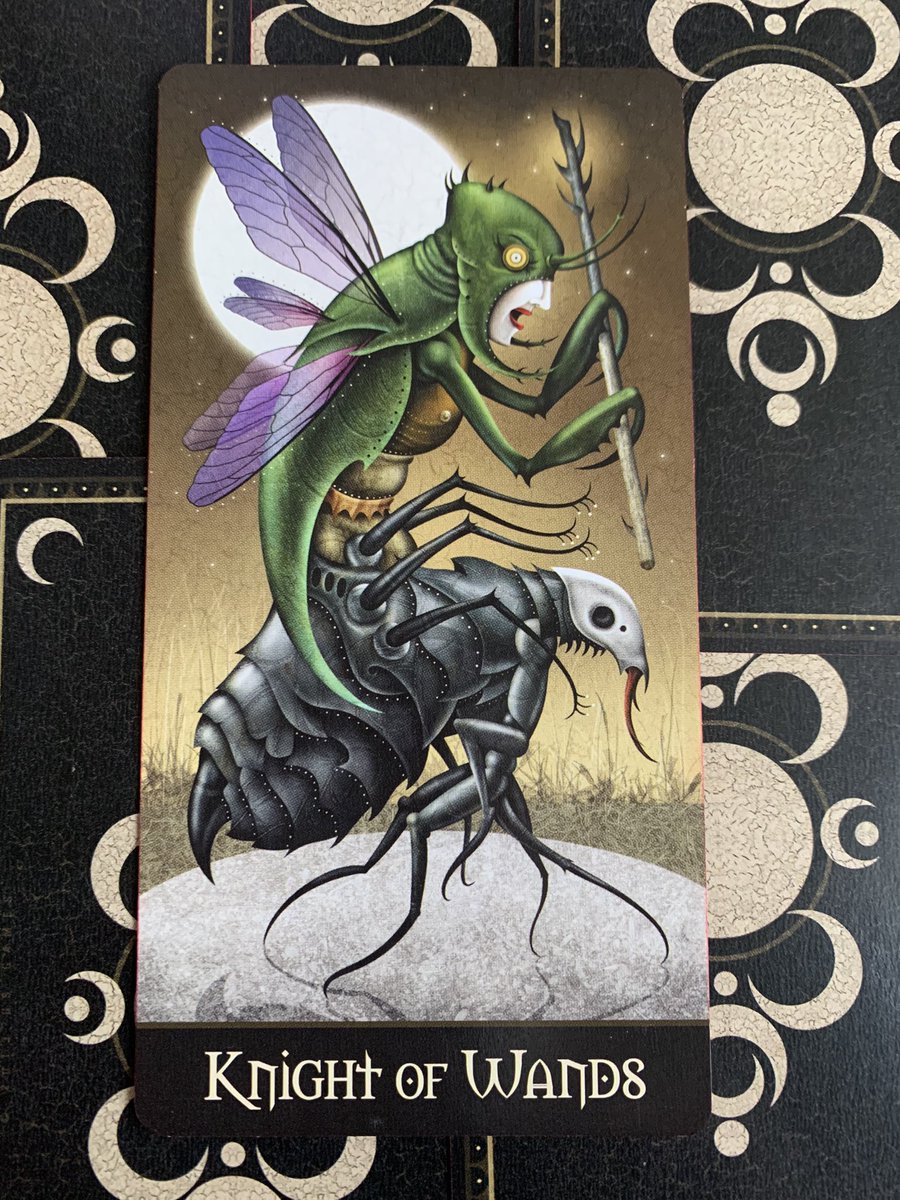 ElevatedBliss's tweet photo. Wednesday Vibes:
It's a good day to be bold, take action, and make things happen.
Embrace adventure, but don't abandon responsibilities. Be bold & express yourself, but be careful not to be arrogant or leave a trail of destruction in your wake. #knightofwands #deviantmoon #tarot https://t.co/38WSTC5OHa