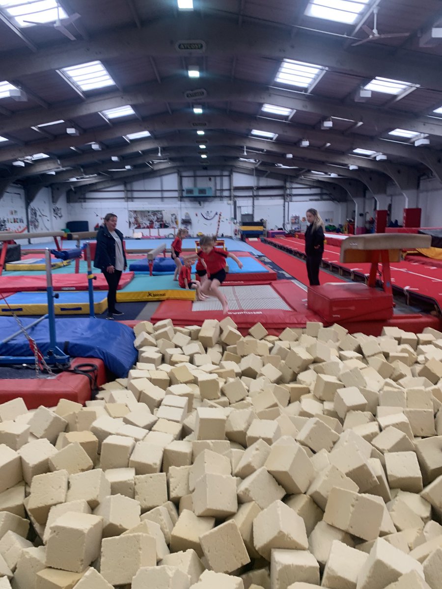 TheEllisSport's tweet photo. Bars and trampoline time ⁦@TheEllisY2⁩ https://t.co/CaKYiJcWtk
