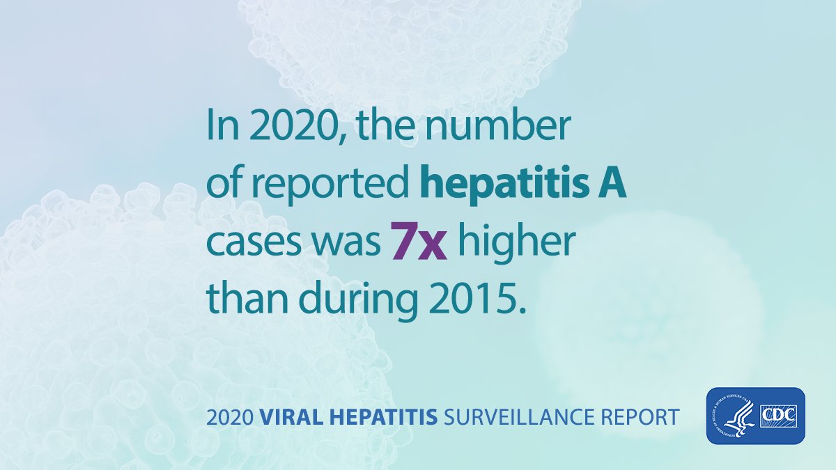 The number of reported #HepatitisA cases during 2020 was 7x higher than during 2015. Check out the Viral #Hepatitis Surveillance Report to see the latest data: bit.ly/3SDpjHd