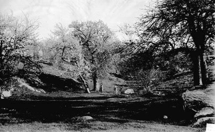 October 19, 1899: Seventeen-year-old Robert Goddard climbs a cherry tree on his family's Massachusetts farm and imagines what it might be like to travel into space.