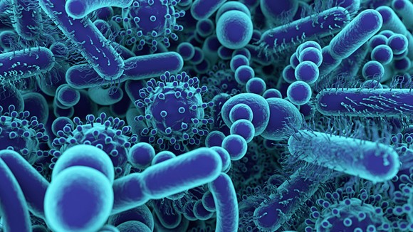 UoD Life Sciences (@uodlifesciences) on Twitter photo 3 publications selected for the <a href="/NatureComms/">Nature Communications</a> Editor's Highlights Microbiology & Infectious Diseases strand!
💡 TB research - Laura Cleghorn <a href="/DDU_Dundee/">Drug Discovery Unit</a>
💡 Research on the genus Serratia - <a href="/SarahCoulthurs1/">Sarah Coulthurst</a>
💡 Work on T. brucei - David Horn <a href="/WCAIRDundee/">WCAIR Univ of Dundee</a>
buff.ly/3EUWbHw 3 publications selected for the <a href="/NatureComms/">Nature Communications</a> Editor's Highlights Microbiology & Infectious Diseases strand!
💡 TB research - Laura Cleghorn <a href="/DDU_Dundee/">Drug Discovery Unit</a>
💡 Research on the genus Serratia - <a href="/SarahCoulthurs1/">Sarah Coulthurst</a>
💡 Work on T. brucei - David Horn <a href="/WCAIRDundee/">WCAIR Univ of Dundee</a>
buff.ly/3EUWbHw