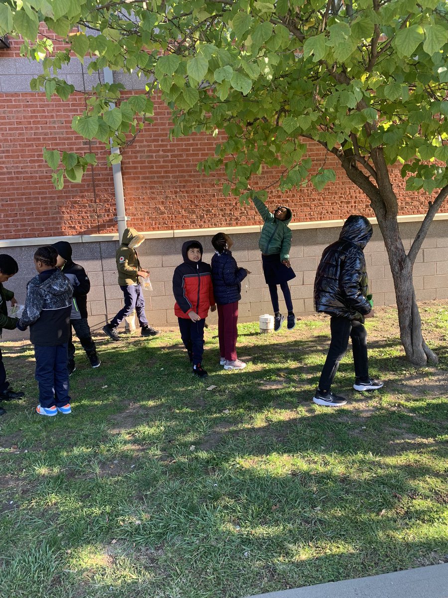JCurran_PAES's tweet photo. Spending the morning outside collecting natural materials so we can study the effects of rain! #parkavestrong #goodtogreat @PAES231 @Principal_MH @UrbanEducator81 @Gerald_Fitzhugh https://t.co/Ki9O14yHoD