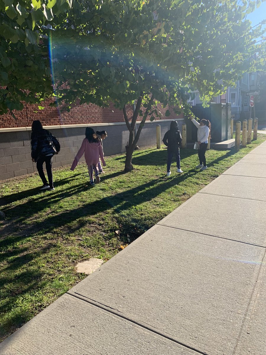 JCurran_PAES's tweet photo. Spending the morning outside collecting natural materials so we can study the effects of rain! #parkavestrong #goodtogreat @PAES231 @Principal_MH @UrbanEducator81 @Gerald_Fitzhugh https://t.co/Ki9O14yHoD