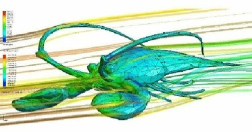 AlmeriaReprese1's tweet photo. Cuentas de Almería: *suben memes de Almería*
Yo: aerodynamics of a Lobster 😎👌🏻 https://t.co/p1MA8XzCUL