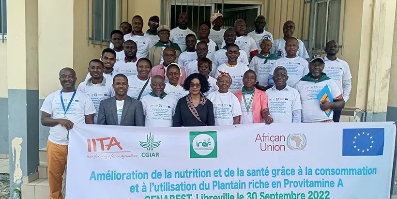 IITA trains food processors to improve health and nutrition using provitamin A-rich plantain flour in Gabon 'Discussions provided in-depth knowledge of #plantain flour production & its application as a substitute for #wheat flour in various foods.' ⬇️⬇️ iita.org/news-item/iita…