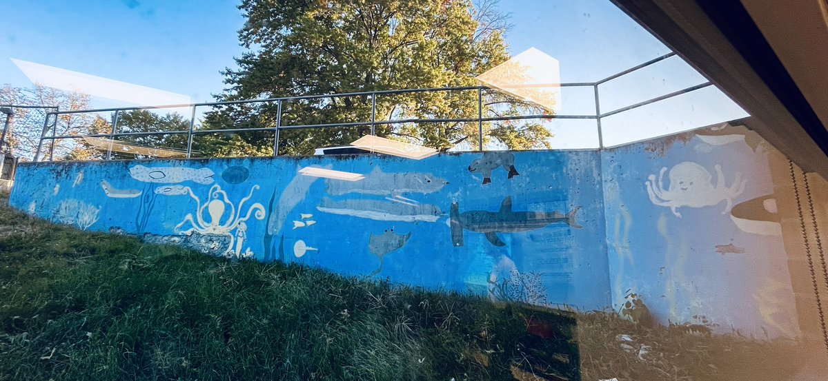 Mrs. Dwyer (@rusblvdart) on Twitter photo I may have found the oldest art work at Russell. A mural painted around 30 years ago by a grade level teacher and her students to brighten up the view from their classroom windows. #inspirecreativity <a href="/cpsfinearts/">CPS Fine Arts</a> <a href="/RUSBLVD/">Russell Boulevard</a> I may have found the oldest art work at Russell. A mural painted around 30 years ago by a grade level teacher and her students to brighten up the view from their classroom windows. #inspirecreativity <a href="/cpsfinearts/">CPS Fine Arts</a> <a href="/RUSBLVD/">Russell Boulevard</a>