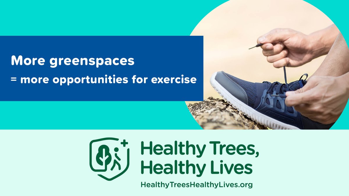 Green spaces and tree-lines streets encourage walking, outdoor activities and generally healthier lifestyles! #HealthyTreesHealthyLives 🌳🌲
