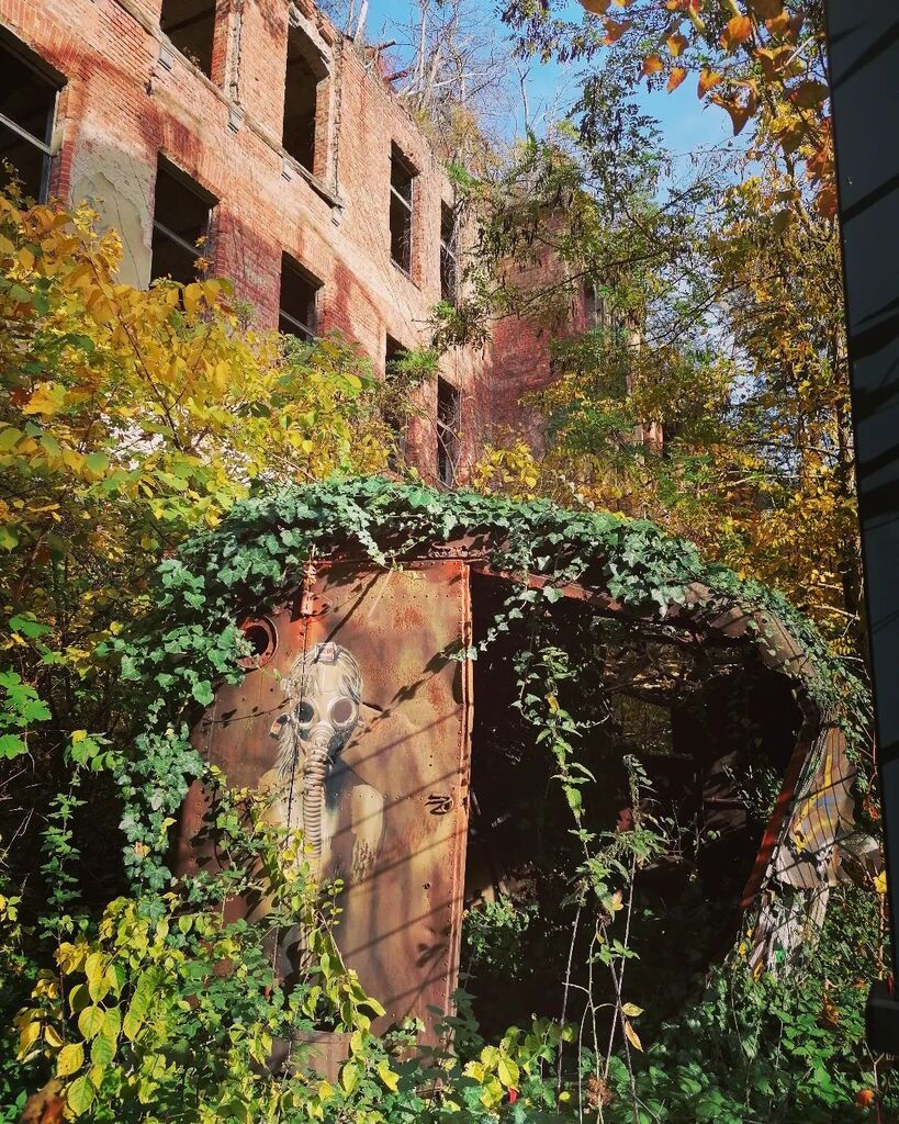 kranichar_LP's tweet photo. Neu auf Instagram: Wieder einmal ein unvergessliches Fotomotiv👍📷
#lostplaces #lost #verlasseneorte #abandoned #abandonedplaces #urbexphotography #entdecken #brandenburg #verlassen #forgottenplaces #forgotten #graffitiart #graffiti #art #kunst #plotbot #decay #andenken #urbe… https://t.co/eqRqkDh0QP