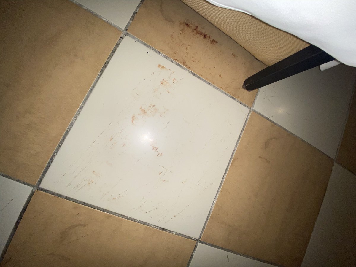 axelou92's tweet photo. Je vous mets ci-dessous des photos de l’hôtel et un Google drive avec toutes les preuves…🤢 (3/5) https://t.co/r9FizF7hAw