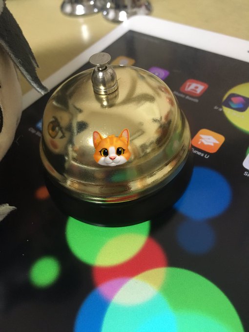 5回目でやっと来た😼 