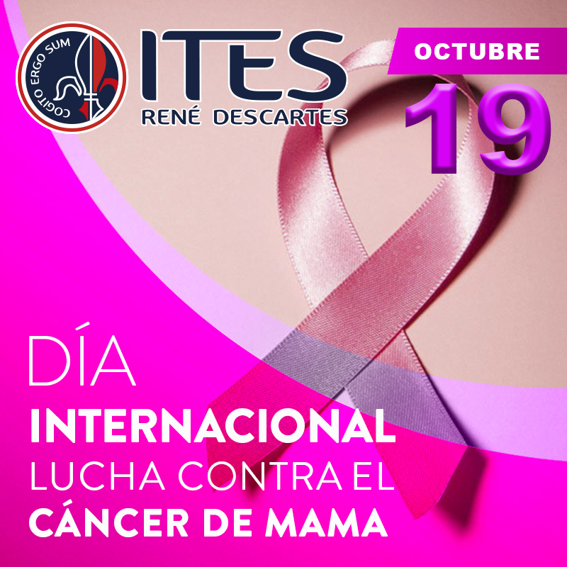 itesrene's tweet photo. ✨La ilusión y la sonrisa son tus mejores armas. Disfruta el calor de tus seres queridos y que arda la esperanza. La batalla nunca se pierde cuando se ha peleado todo lo que eres."✨🌷 https://t.co/b6uRm0o4LV
