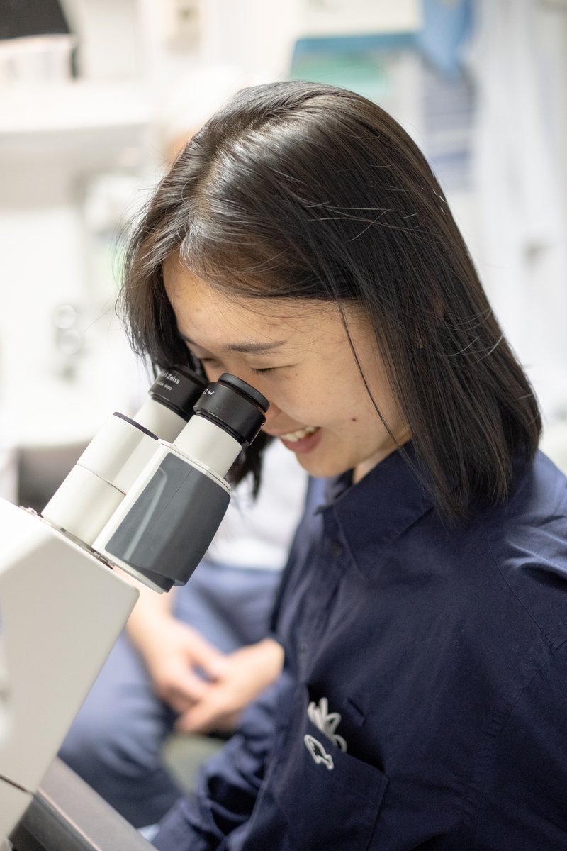 KTatsachen's tweet photo. #NahyeGu literally inspected the research of @claudiasjv7 and @zcseresn. 🔍
The researchers study #pneumococci by extremely high-resolution #microscopy. 🦠 🔬 In the process, these are visualized through multiple slices staggered one behind the other. 
#KünstlerischeTatsachen https://t.co/Zhs4XpFxyX