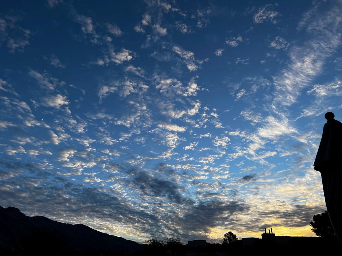 Lee County Mosquito Education tweet media