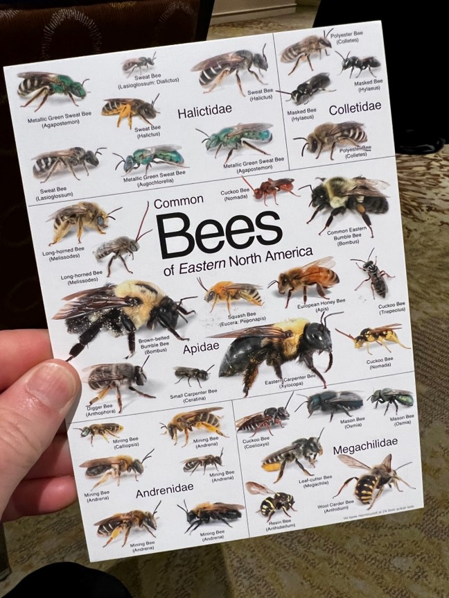 Lee County Mosquito Education tweet media