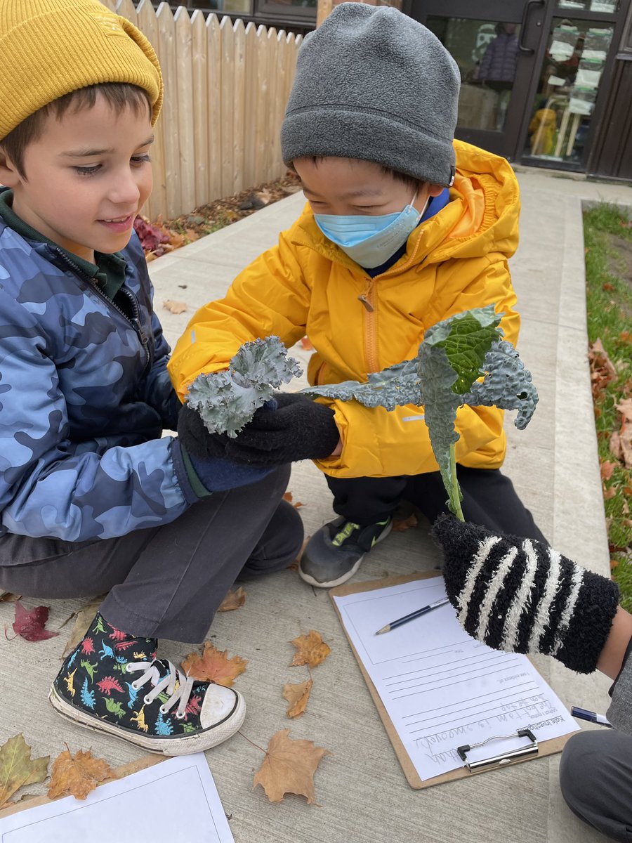 Lιѕα Mιтcнell (she/her/hers) tweet media