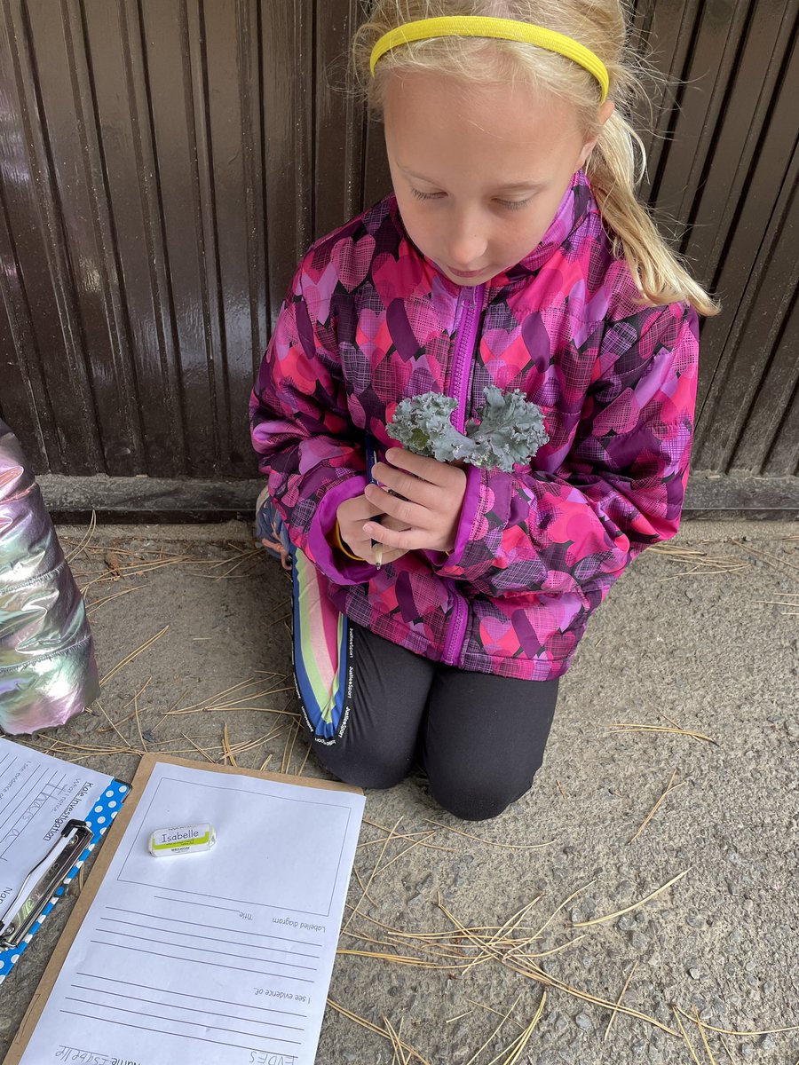 Lιѕα Mιтcнell (she/her/hers) tweet media