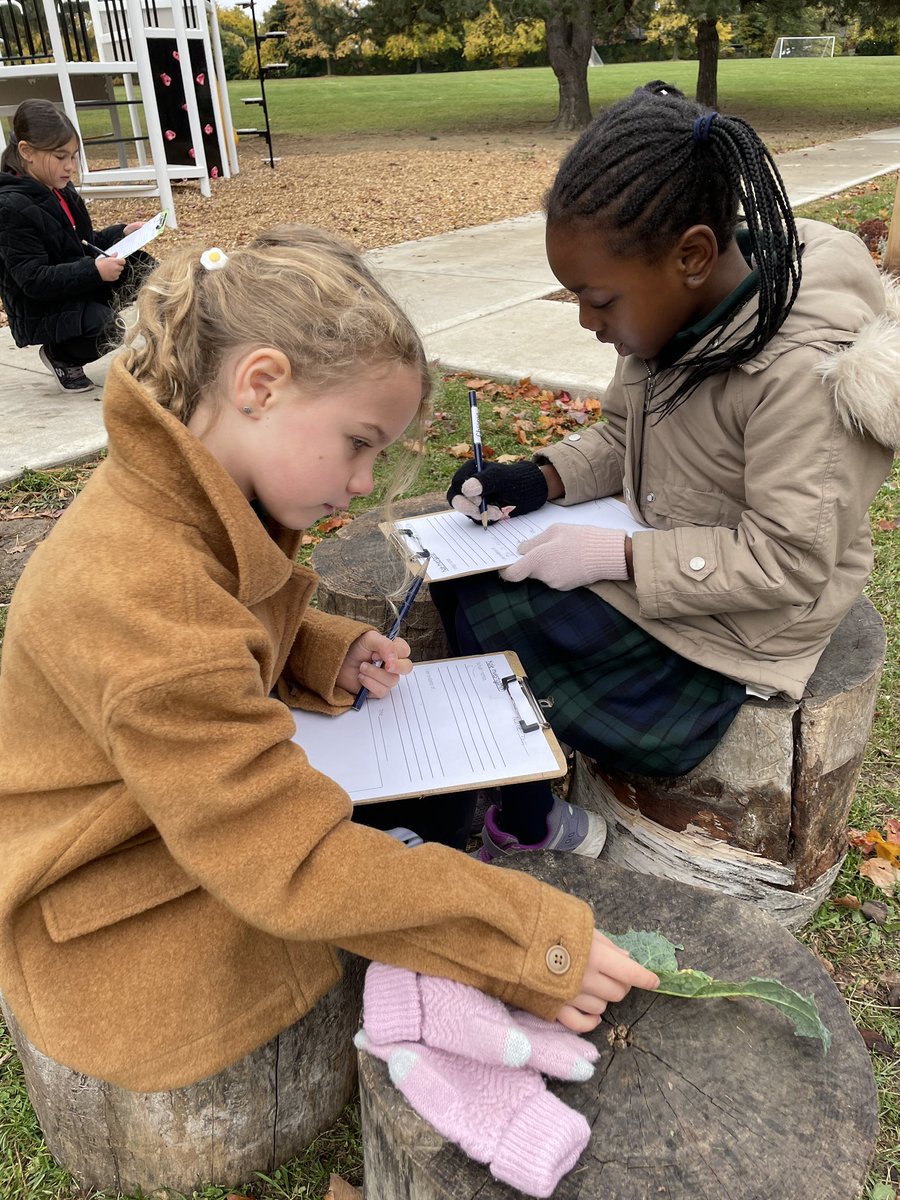 Lιѕα Mιтcнell (she/her/hers) tweet media