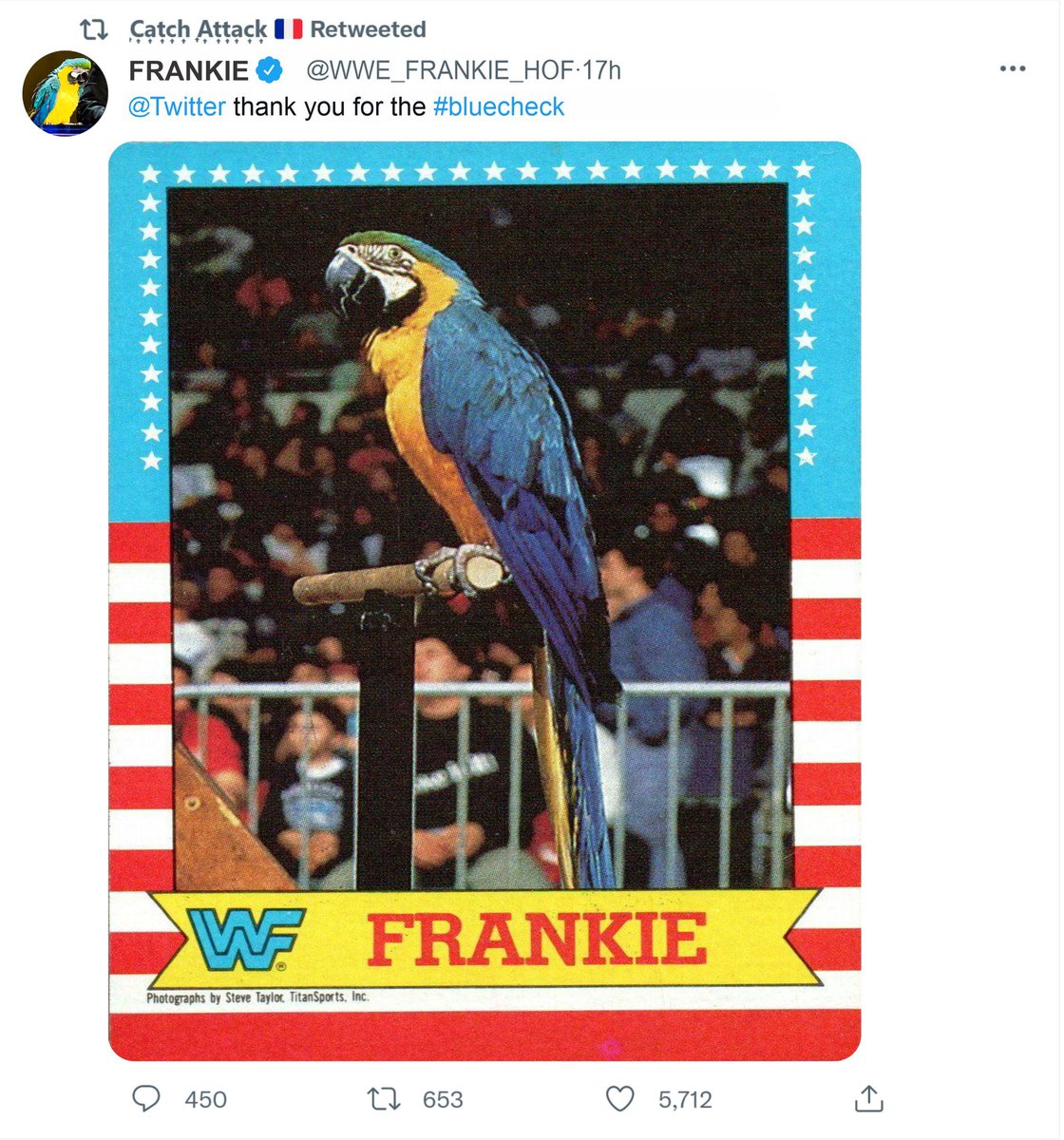 wwekokobware's tweet photo. REALLY @Twitter @premiumbusiness #notcool #lol @WWE https://t.co/B8N1R0RSvF