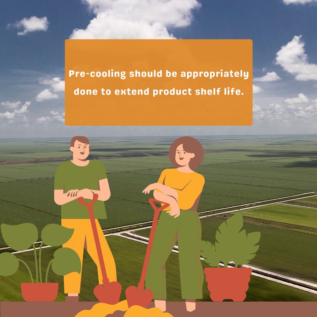 mapmycrop's tweet photo. Guidelines for the Optimal Post-Harvest Handling
#harvesttips #harvest #grow #garden #gardening #fruit #farming #farmfamily #harvestprep #vegetableharvest #vegetablegarde #eatyourveggies https://t.co/HsMoBKybd0