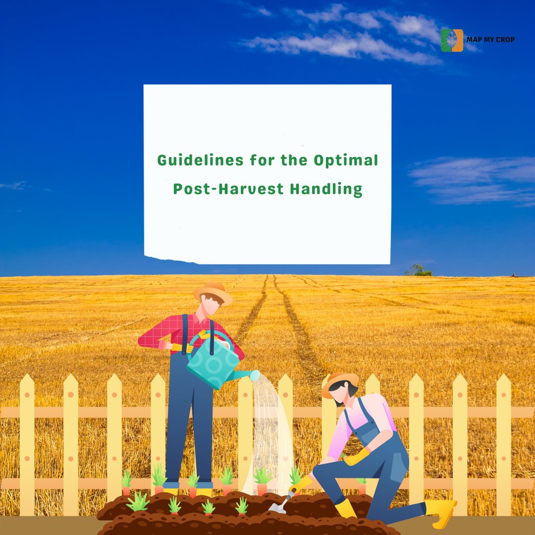mapmycrop's tweet photo. Guidelines for the Optimal Post-Harvest Handling
#harvesttips #harvest #grow #garden #gardening #fruit #farming #farmfamily #harvestprep #vegetableharvest #vegetablegarde #eatyourveggies https://t.co/HsMoBKybd0